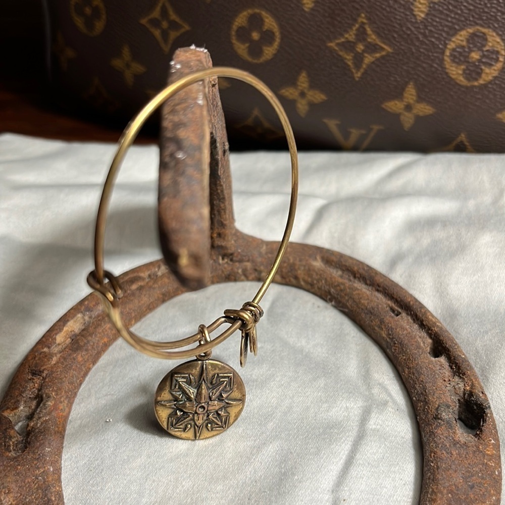 Alex and Ani Gold Charm Bangle Bracelet